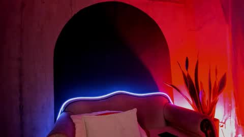 Noah online show from 12.11.24