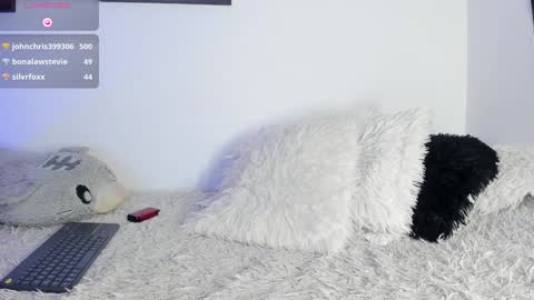 Snapshot of noah_lambert chatting on 01.20.25 Noah online show from 01.20.25