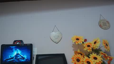 Snapshot of noah_miller7 chatting on 01.13.25 Noah Millers online show from 01.13.25