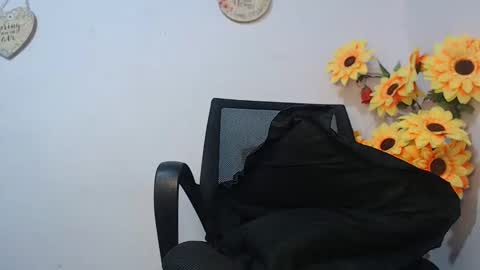 Snapshot of noah_miller7 chatting on 01.16.25 Noah Millers online show from 01.16.25