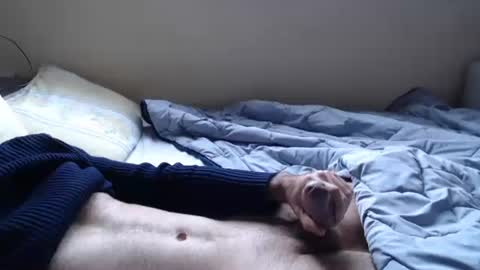 noksha online show from 02.02.26