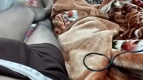 sim  nib online show from 12.03.24