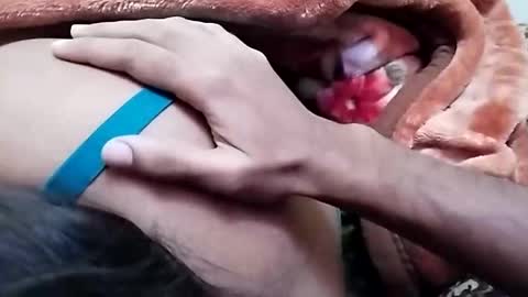 sim  nib online show from 12.26.24