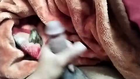 sim  nib online show from 12.28.24