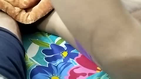 sim  nib online show from 01.09.25