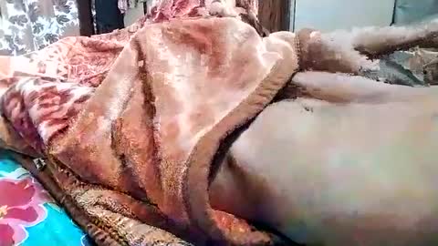 sim  nib online show from 03.01.25