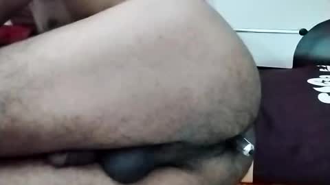 sim  nib online show from 11.13.25