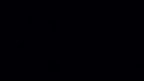 norbitomii online show from 11.11.25