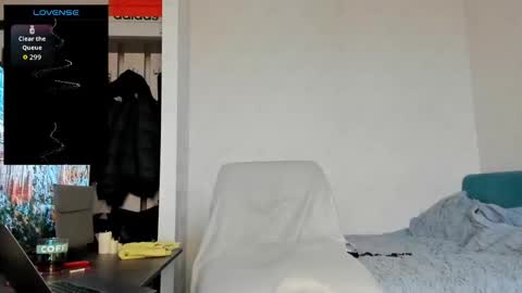 North stallions online show from 02.19.26