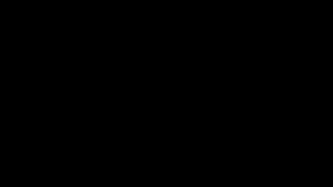 Nottsaust online show from 02.20.25