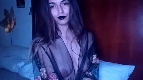 novalovelle online show from 02.08.26