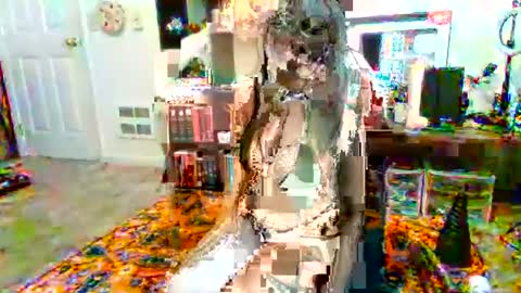 NovaNocturnal616 online show from 12.21.24