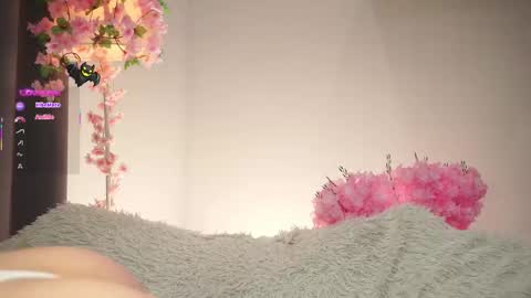 Dina online show from 11.07.25