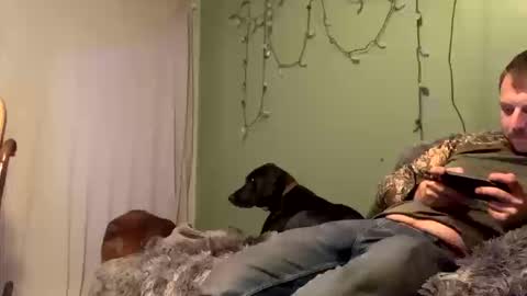 nsy57528 online show from 10.19.25