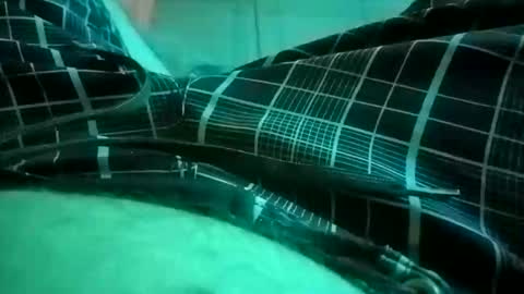 NuttyProfesir online show from 04.04.26