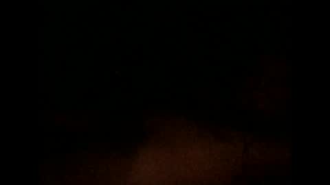 nxleon online show from 12.09.24