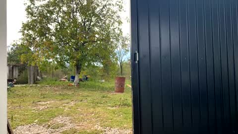 Nicol online show from 09.19.25