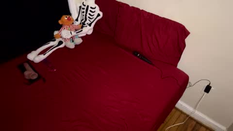 Nymphaea online show from 02.16.26