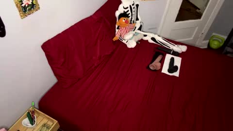 Nymphaea online show from 04.19.26