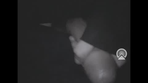 Snapshot of nympham chatting on 04.04.26 nympham online show from 04.04.26