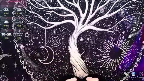 nyx murtualer online show from 12.16.25