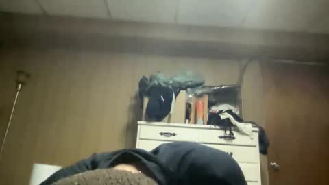 harvestmoon online show from 03.22.26