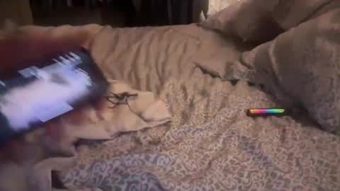 obiwand653040 online show from 11.04.25