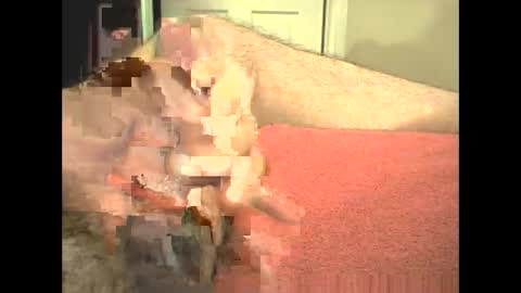 Snapshot of odinsslave chatting on 02.28.26 odinswarrior online show from 02.28.26