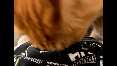 Snapshot of oggs48 chatting on 10.21.25 oggs48 online show from 10.21.25