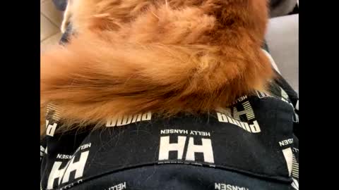 Snapshot of oggs48 chatting on 11.01.25 oggs48 online show from 11.01.25