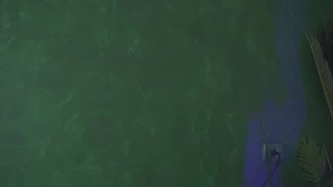 Julia online show from 03.10.25