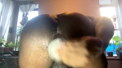 bbygtbckkk online show from 01.03.25