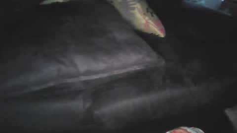 oigreshi online show from 04.12.26