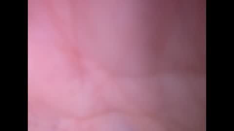 oldaddy2 online show from 02.23.26