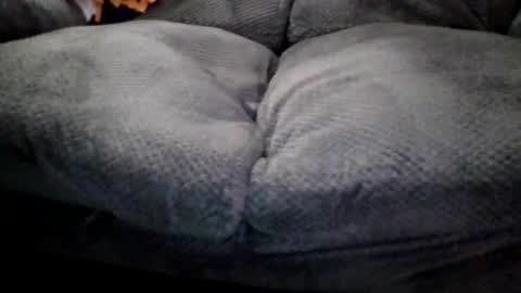 OldMIGUY online show from 04.15.26