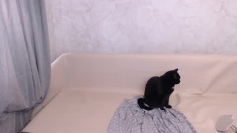 Snapshot of olivia_redd chatting on 10.05.25 Olivia online show from 10.05.25