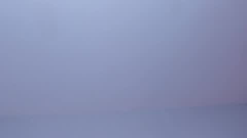 OLIVIA online show from 03.31.26