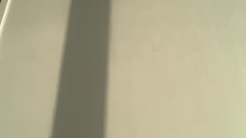 Olivia Brookes online show from 01.08.26