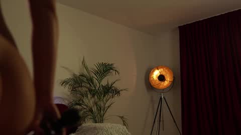    or    online show from 02.10.25