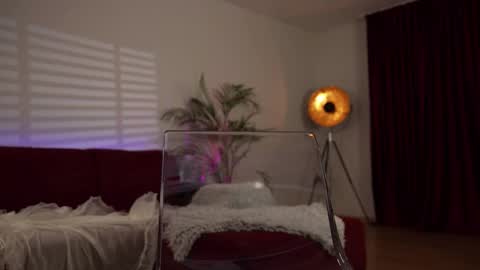    or    online show from 02.24.25