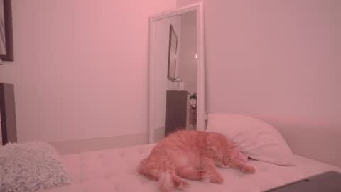 Ariel online show from 10.18.25