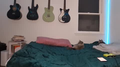 Duo online show from 03.12.25