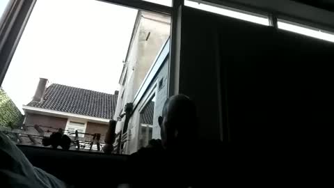 Openminded online show from 12.23.24