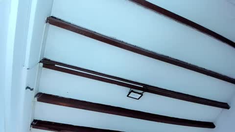 Miss Guzman  online show from 02.06.25