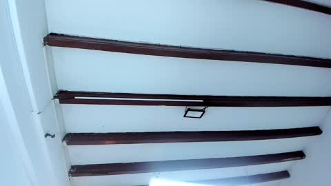 Miss Guzman  online show from 02.09.25