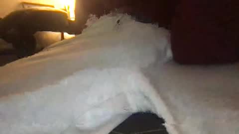 orvillewhitencocker online show from 03.23.26