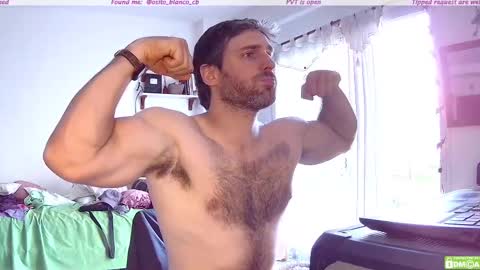 Snapshot of osito_blanco chatting on 11.13.25 Osito Blanco online show from 11.13.25