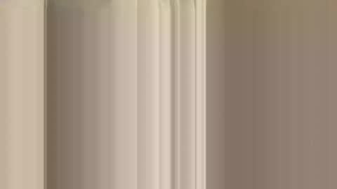 rossignol online show from 12.14.24