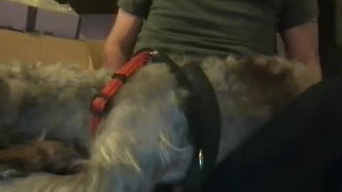 rossignol online show from 01.16.25