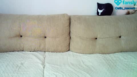 Ostin online show from 03.08.25